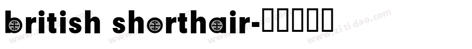 british shorthair字体转换